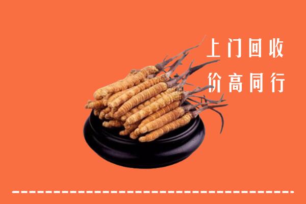 清丰县回收散虫草